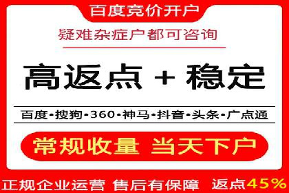 搜索引擎营销（SEM）公司某某的客户成功故事